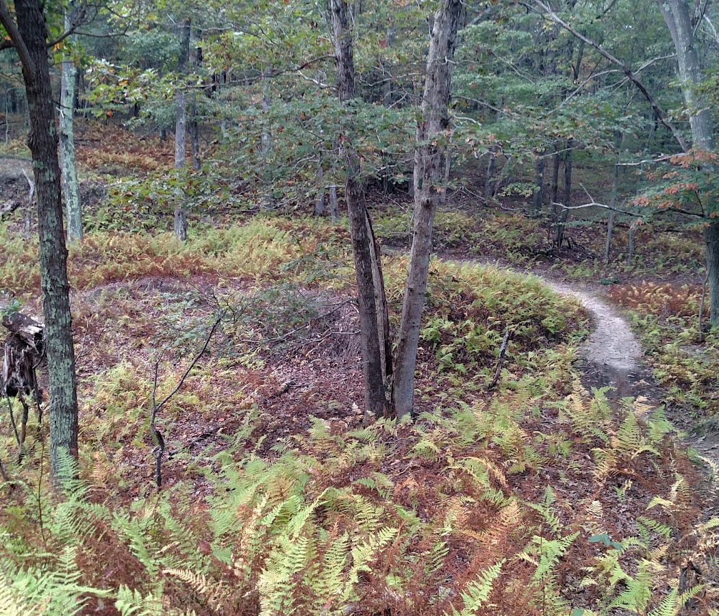 Rocky Point Mountain Bike Trail 3