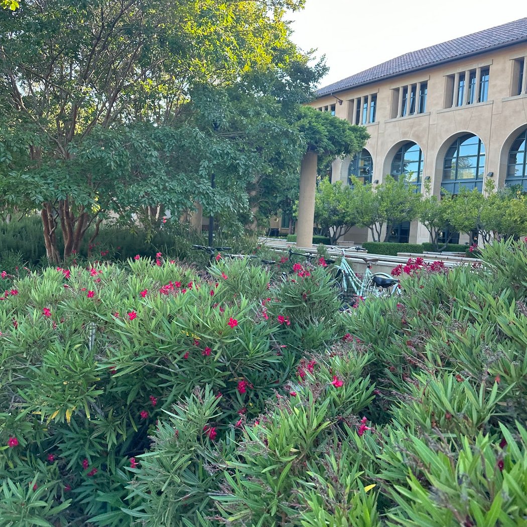 Lathrop Library 2