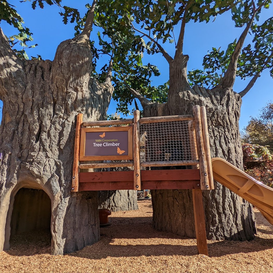 Bill's Backyard 3
