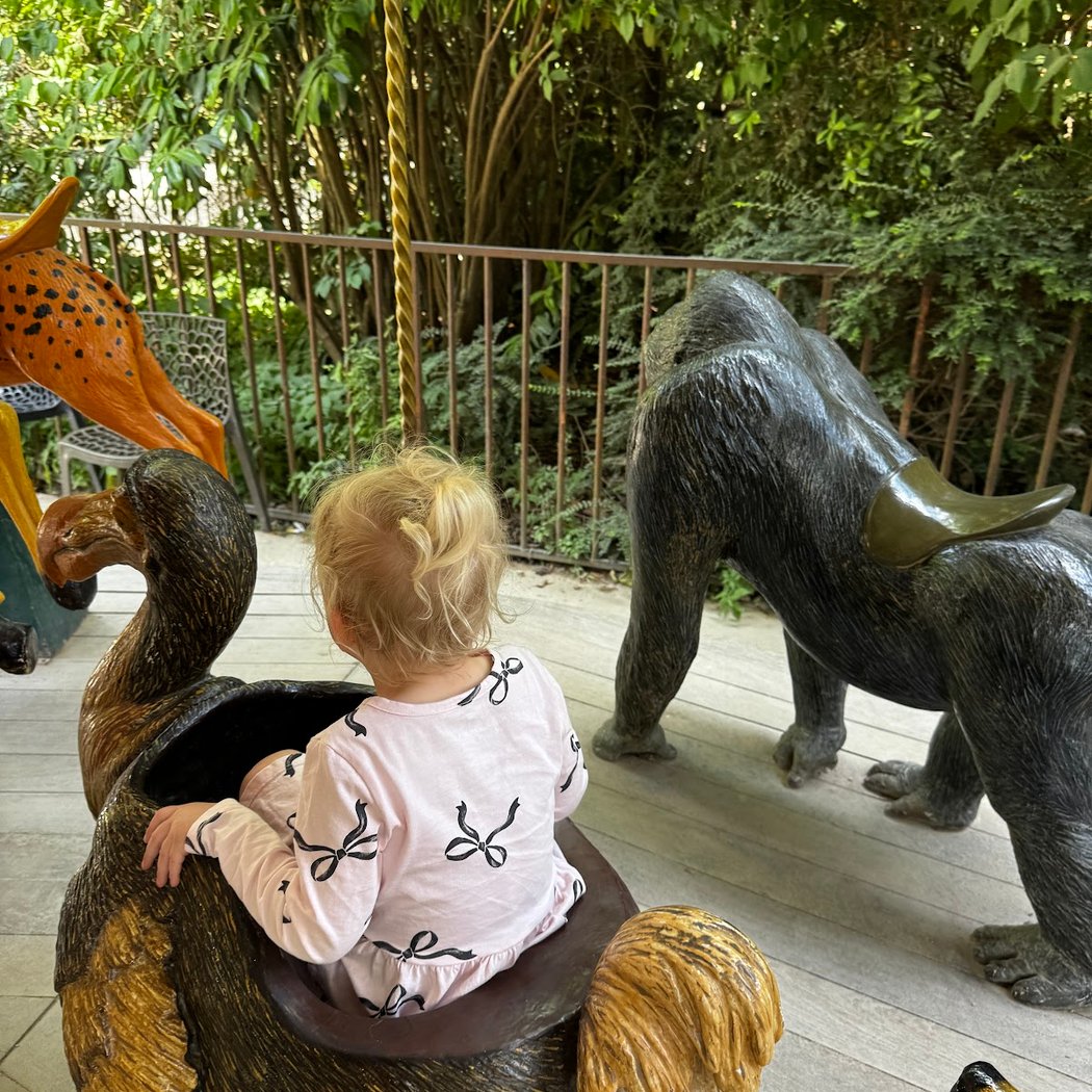 Dodo Manège 1