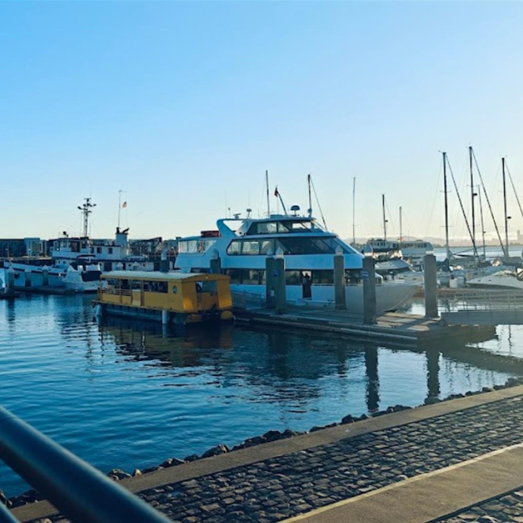 Scott's Seafood Grill & Bar 3