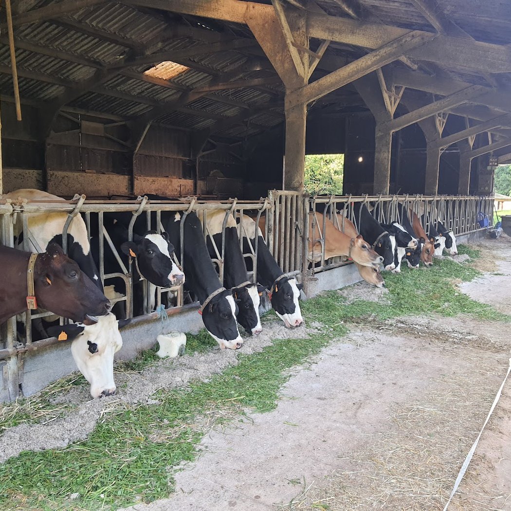 Coubertin Farm 3