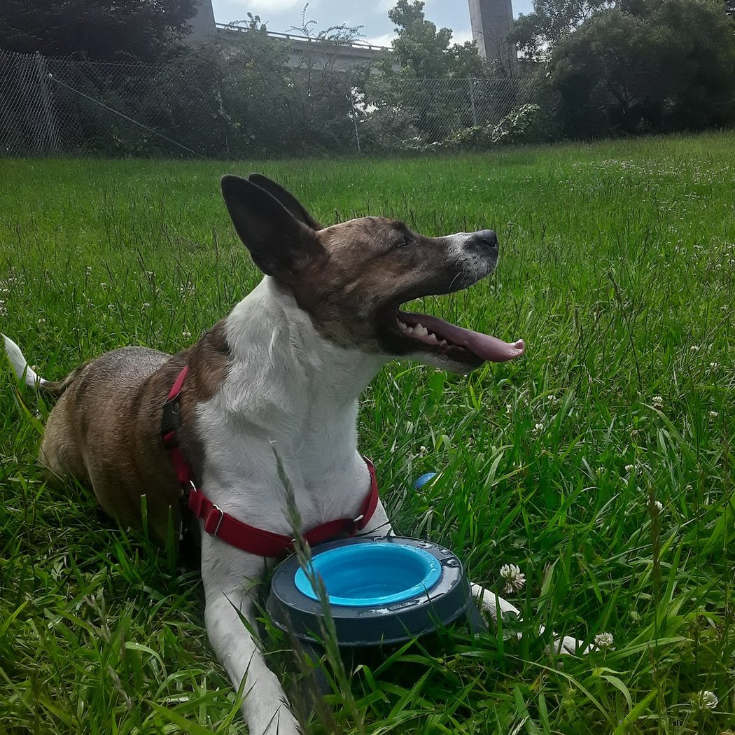 Grove Shafter Park 1