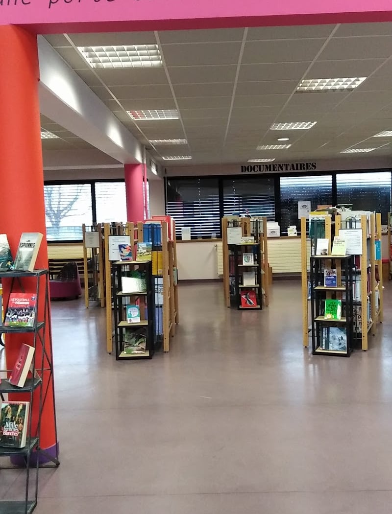 L'Expression Plurielle Library 2