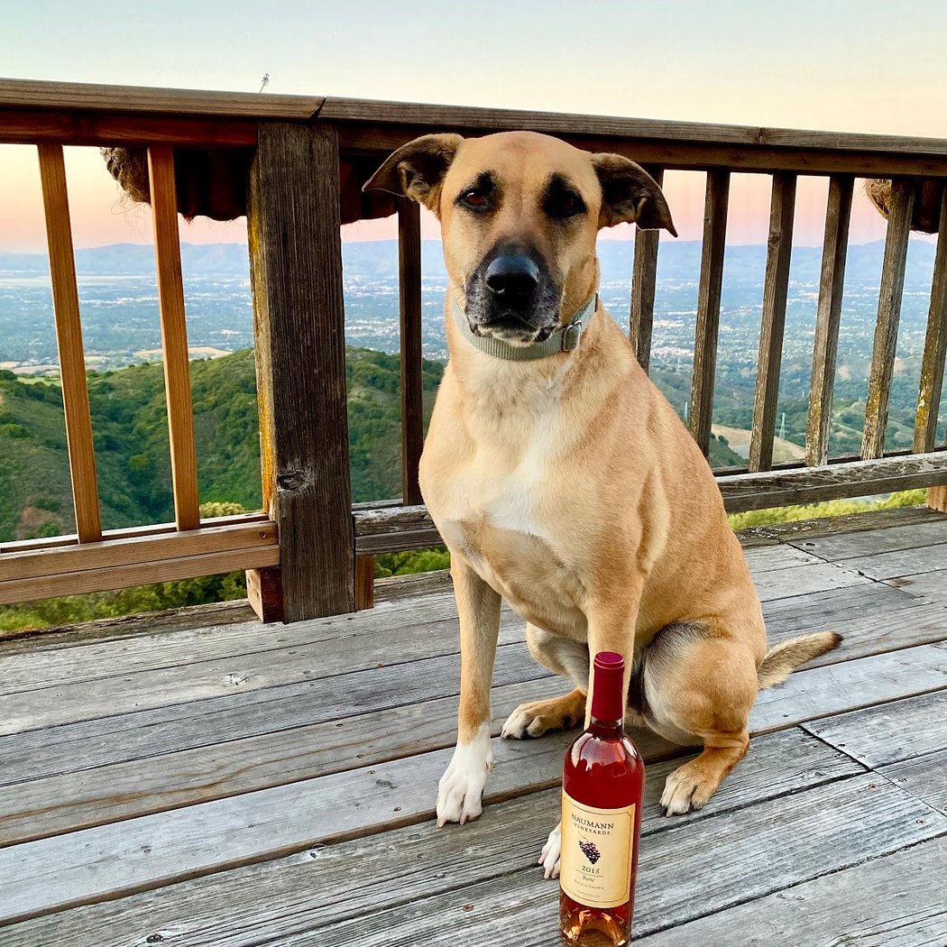 Naumann Vineyards 1