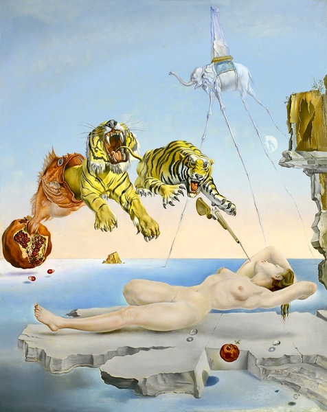 Dali, L’énigme sans fin 1
