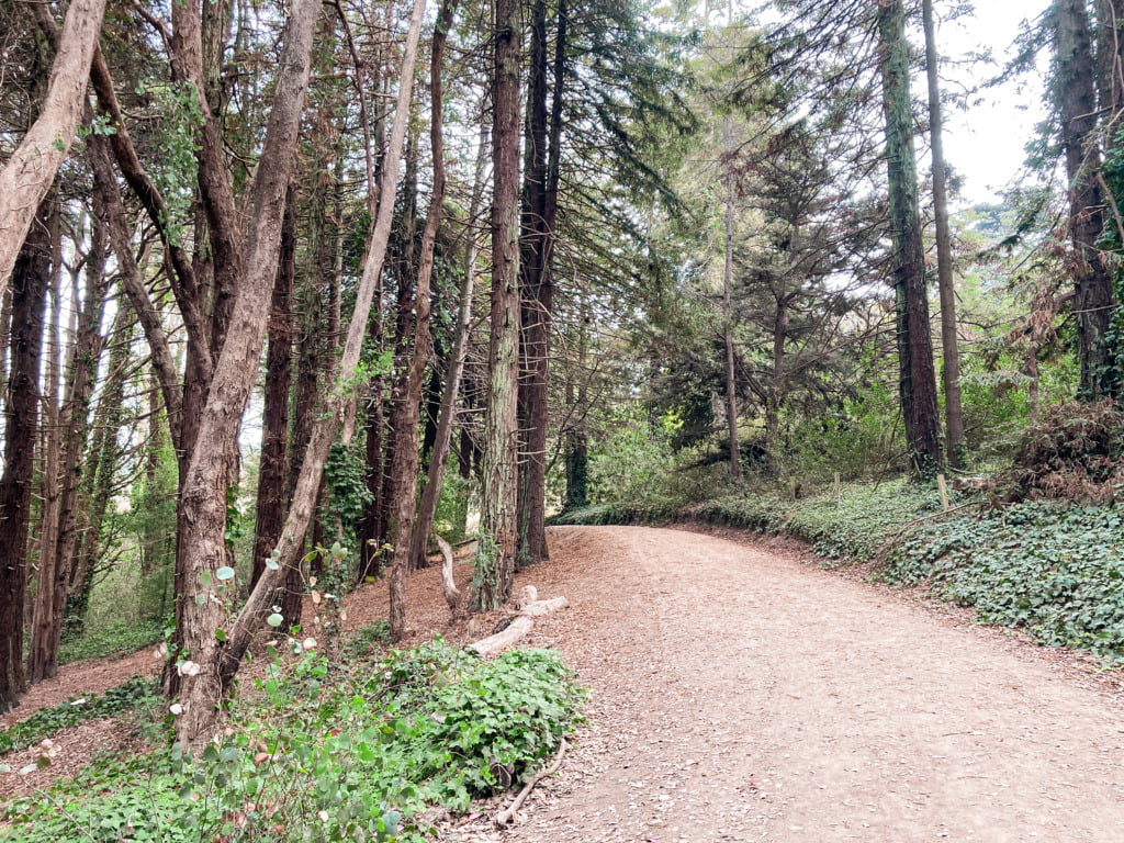 Lover's Lane 2