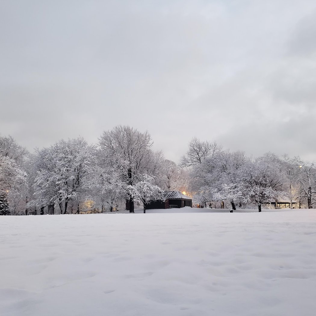 Claremont Park 1