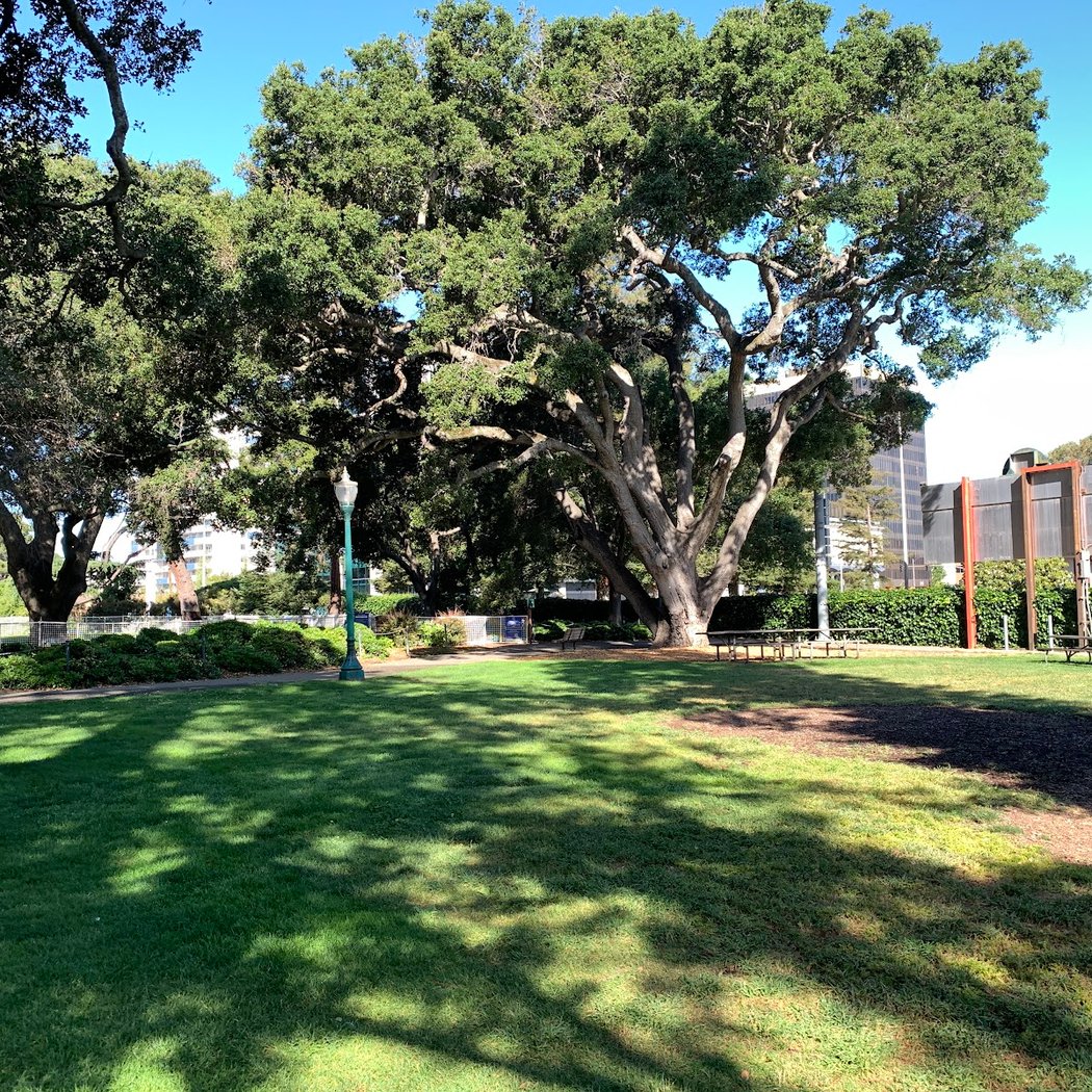 Dog Off-Leash Area 1