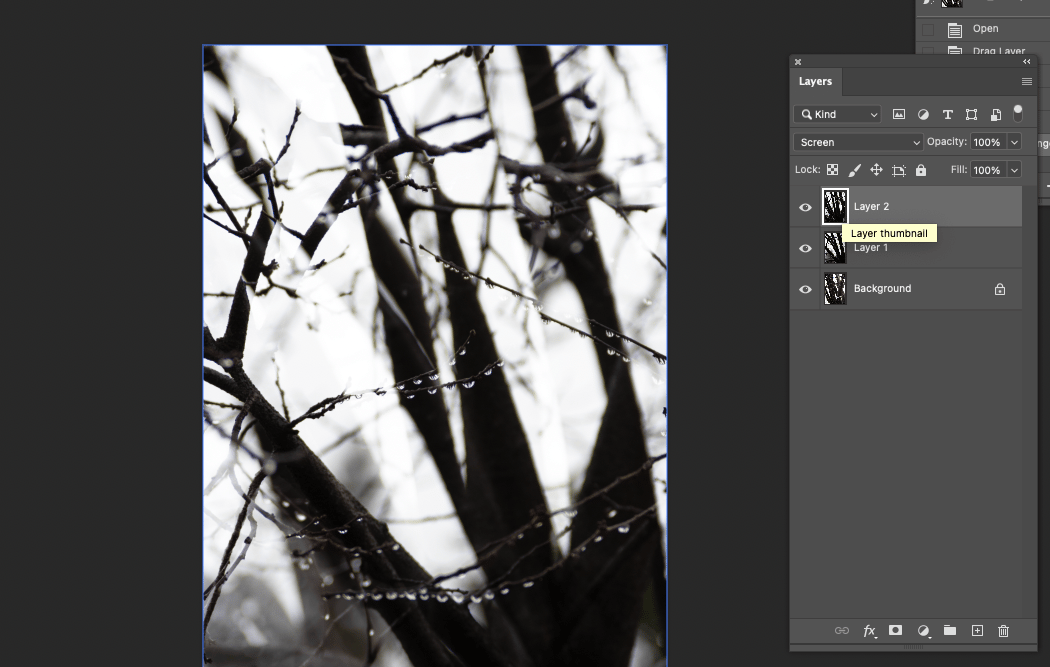 Intro to Digital Imaging with Photoshop 1