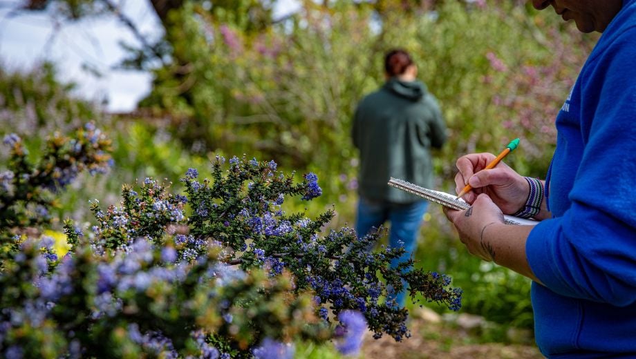 Nature Journaling Club 1