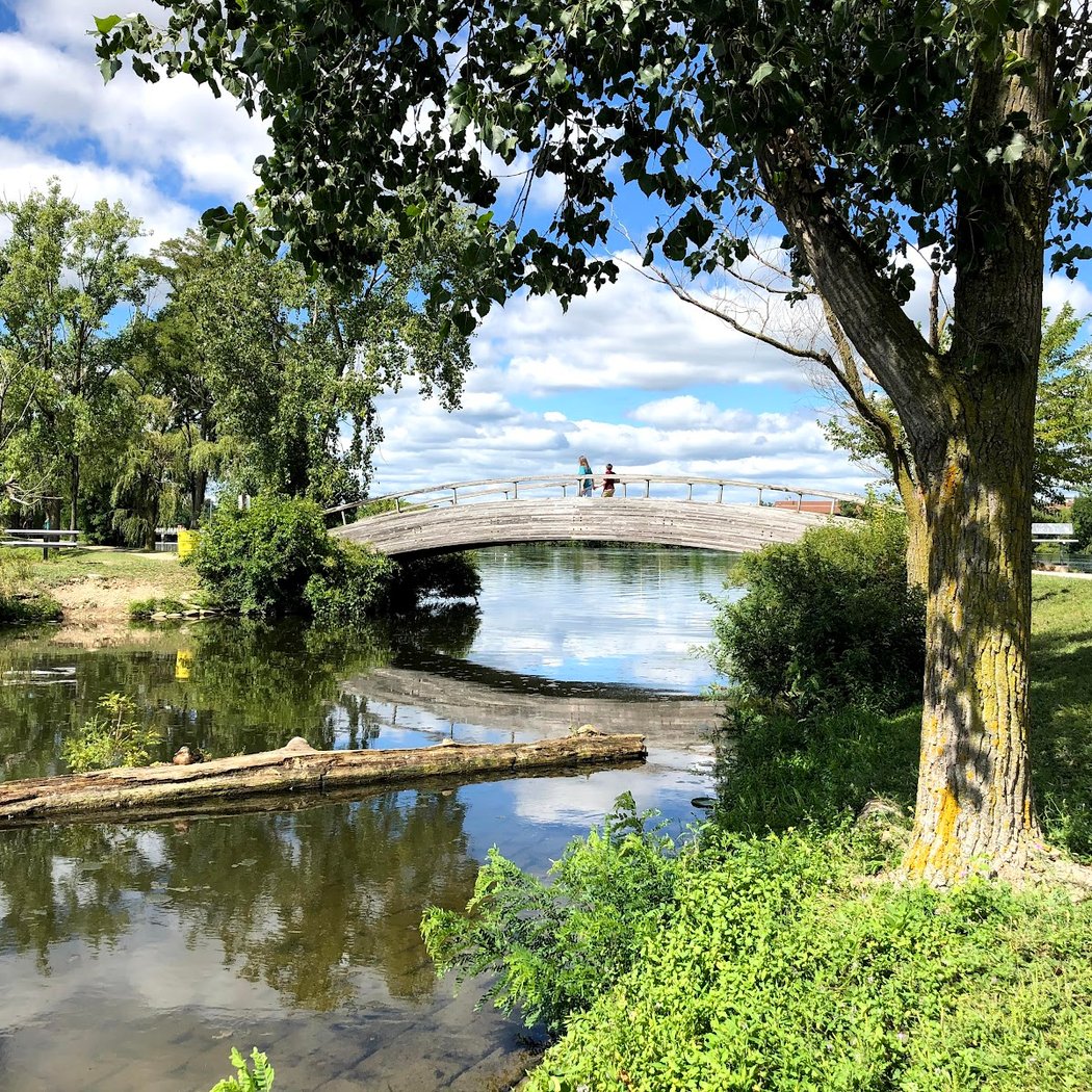 North Bay Park 2