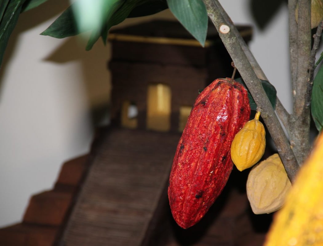 Chocolate Museum Gelencser 3