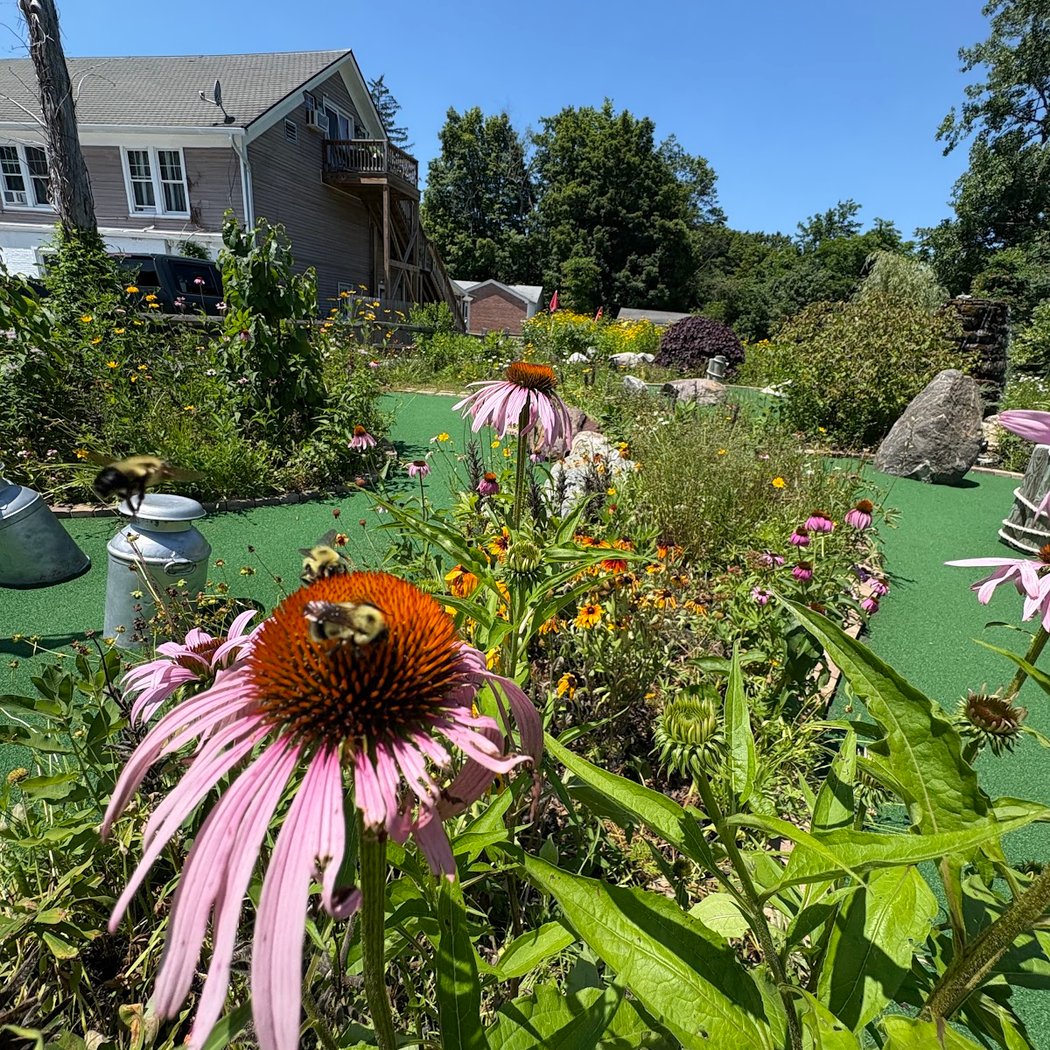Kelly's Mini Golf 2