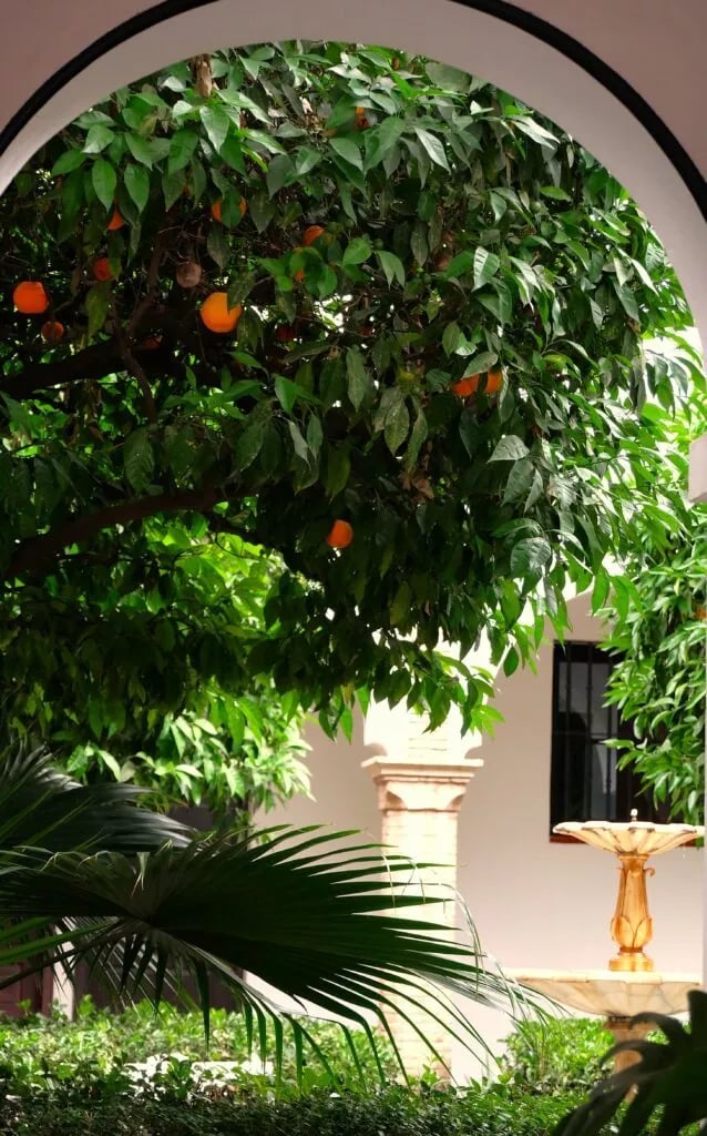 Hostal Callejón Del Agua 3