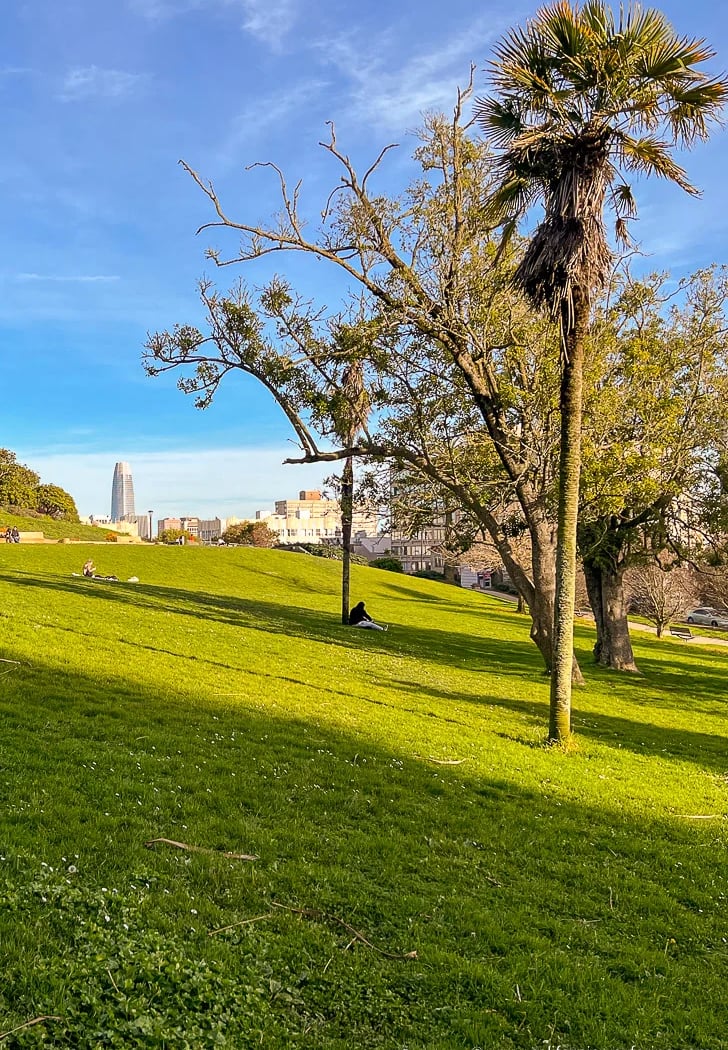 Lafayette Park 1