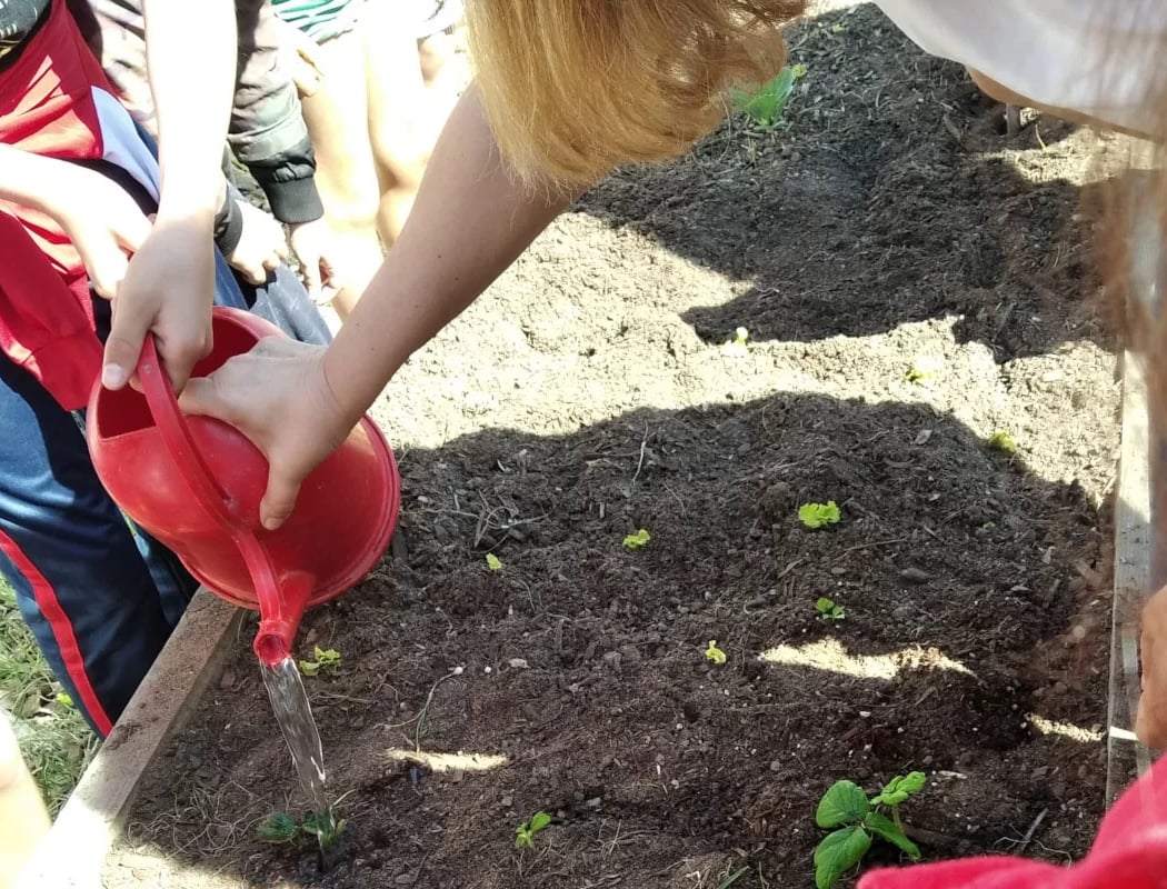 Oficinas de sensibilização de jardinagem