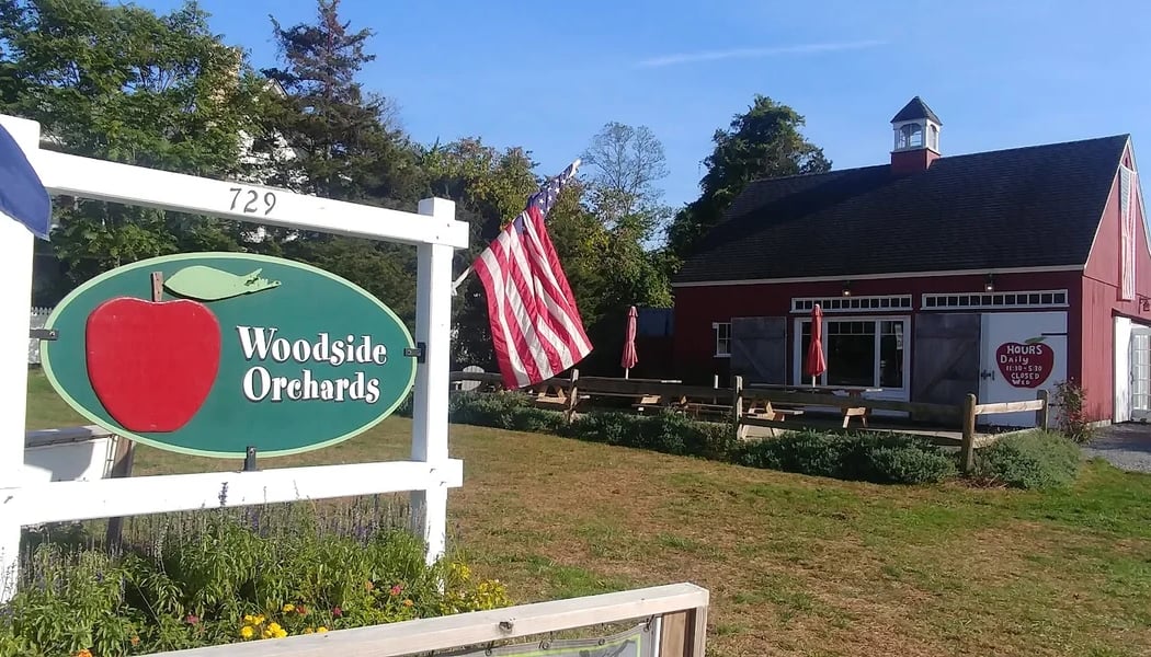 Woodside Orchards- Aquebogue Tasting Room 5