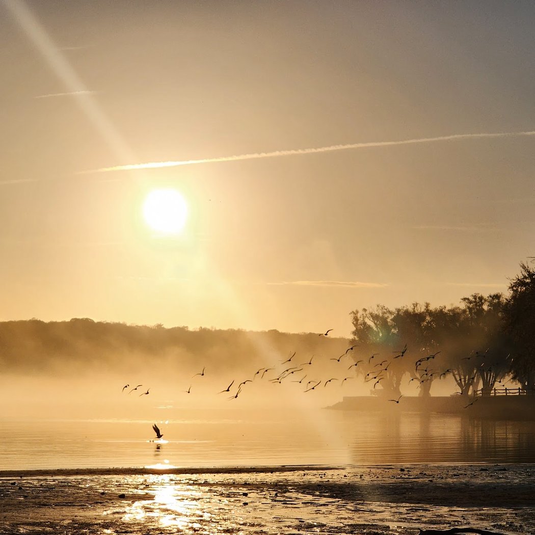 George H. Freer Memorial Beach 1