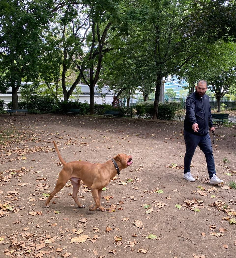 Espace canin 2