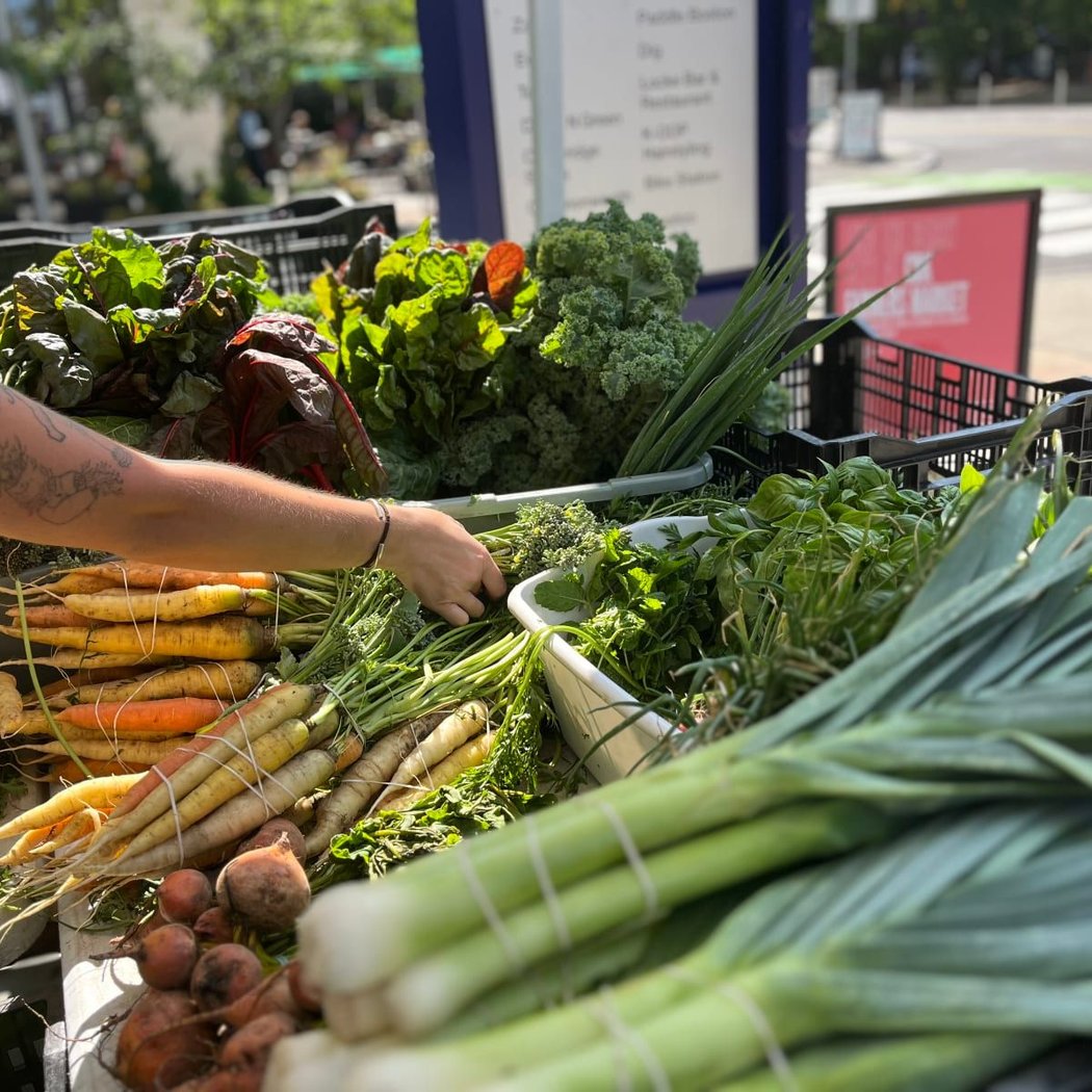 Kendall Square Farmers Market 1