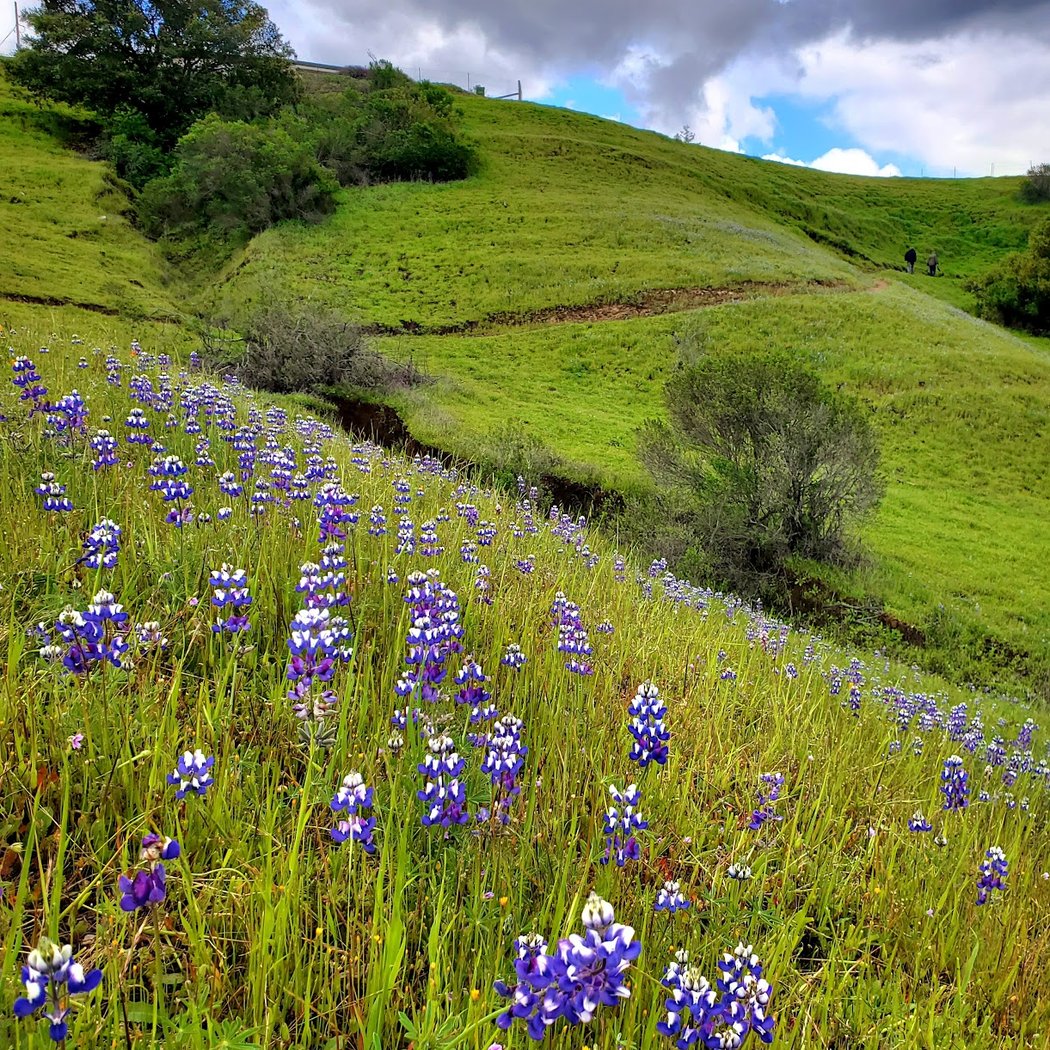 Glenwood Open Space Preserve 1