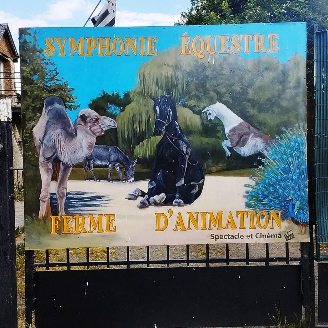 Ferme d'animation Symphonie équestre 2