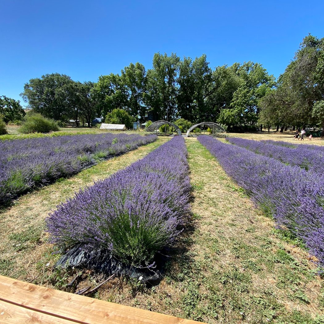 Open Farm Days 3