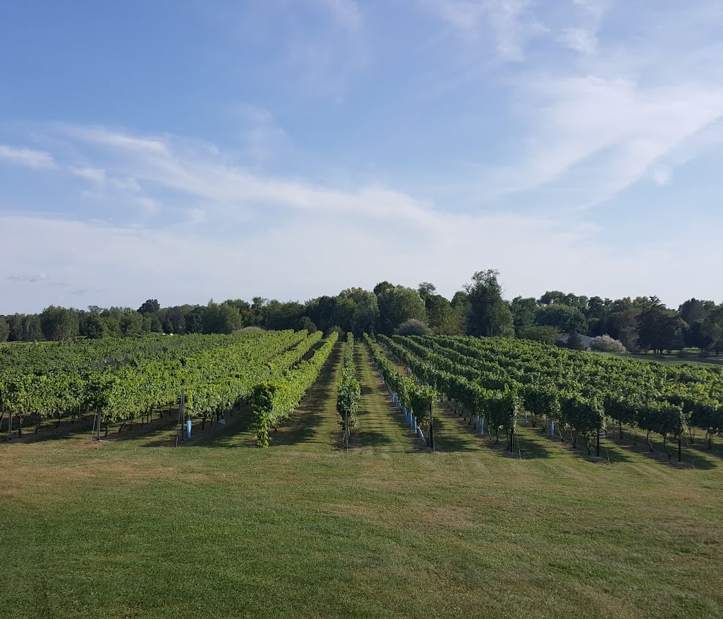 Clermont Vineyards & Winery 1