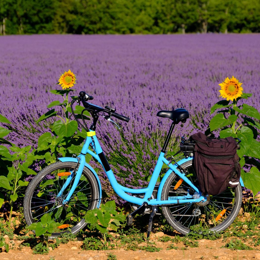 Sun-E-Bike - Magasin de vélo dans les Alpilles (Location - Vente - Réparation) 1