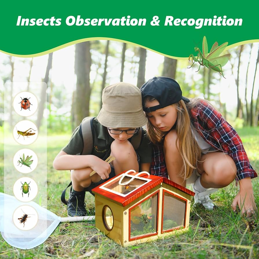 Insect Safari 2