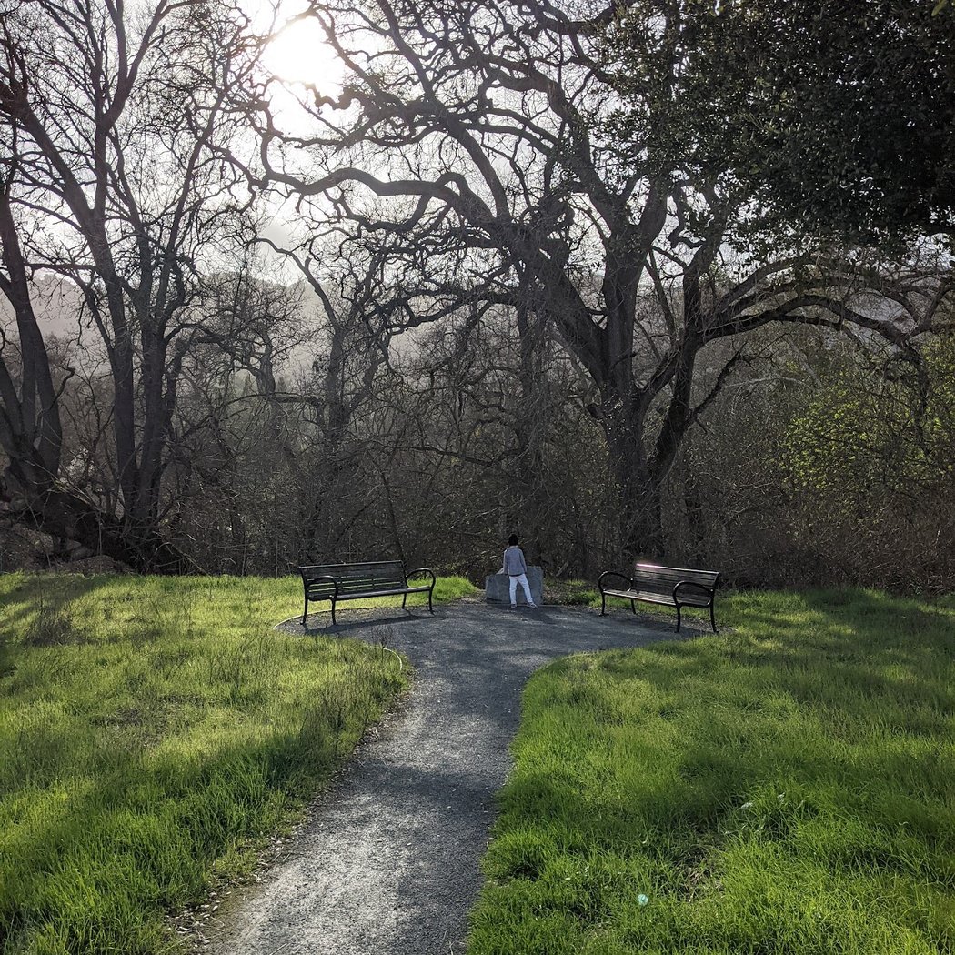 Marilyn Kane Trail head 3