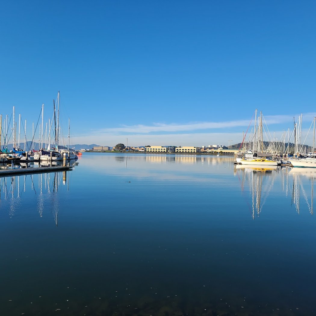 Bay Nature Hike: Meeker Slough Birding 2