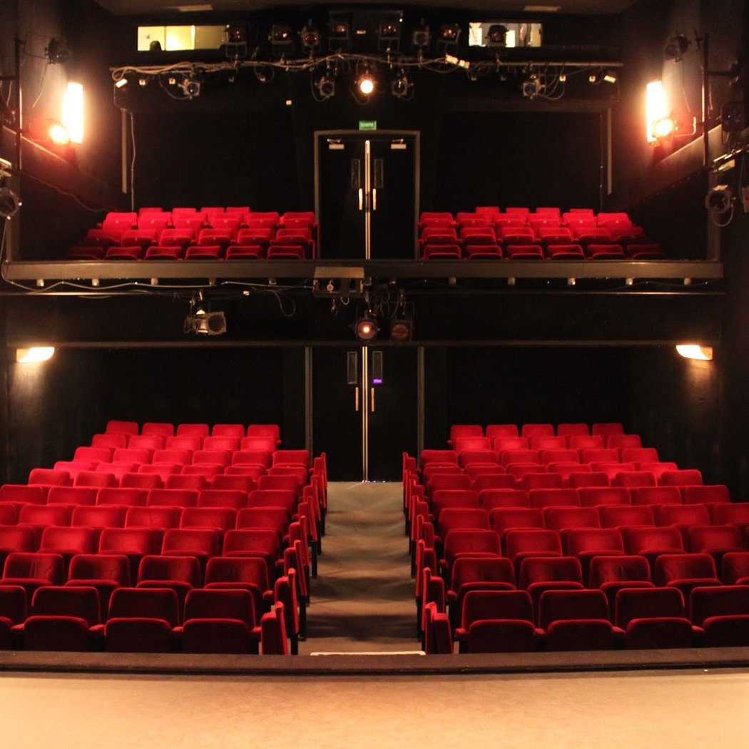 Ateliers Professionnels les Inclassables : API – Comédie Musicale pour Tous 3