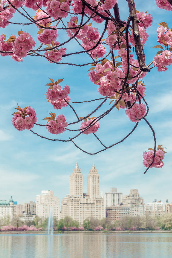 Jacqueline Kennedy Onassis Reservoir 1