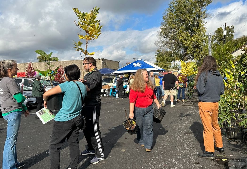 Trees Lexington! Fall Tree Giveaway