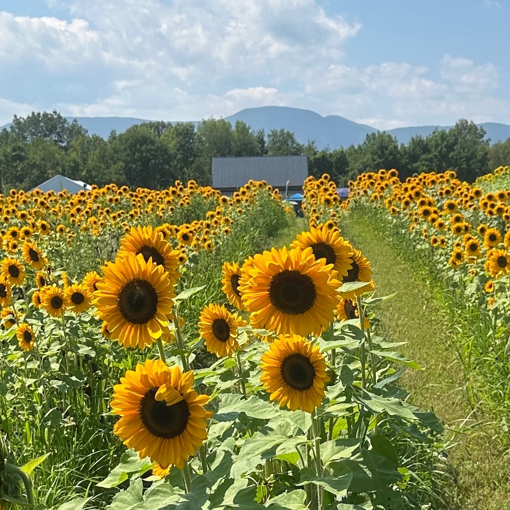 Meadowbrook Farm Catskills 1