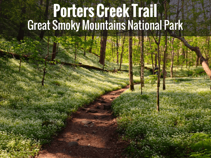 Porters Creek Trail 1
