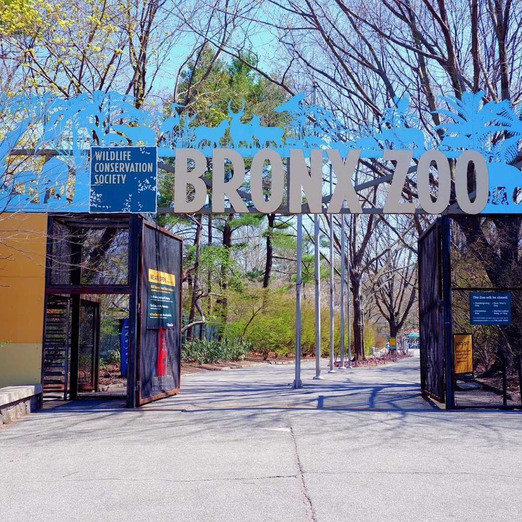 Bronx Zoo’s ‘Name a Roach’ 2