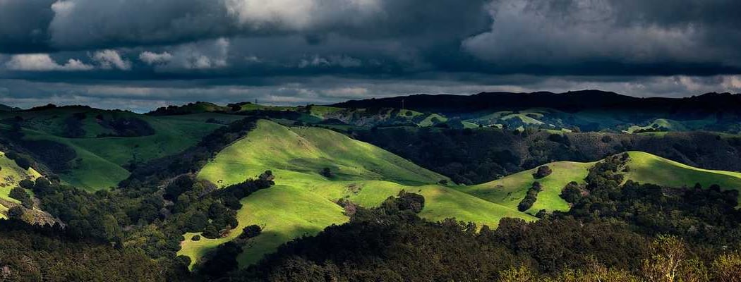 The San Leandro Trails 1