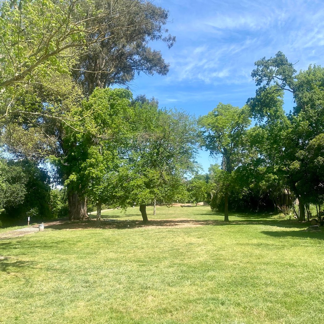 Shurtleff Park 2