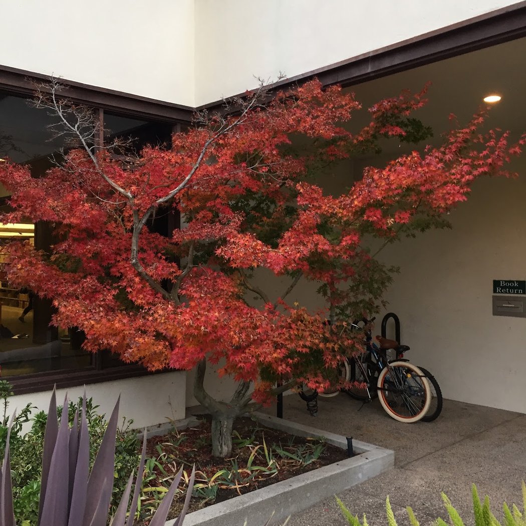 Archbishop Alemany Library 2