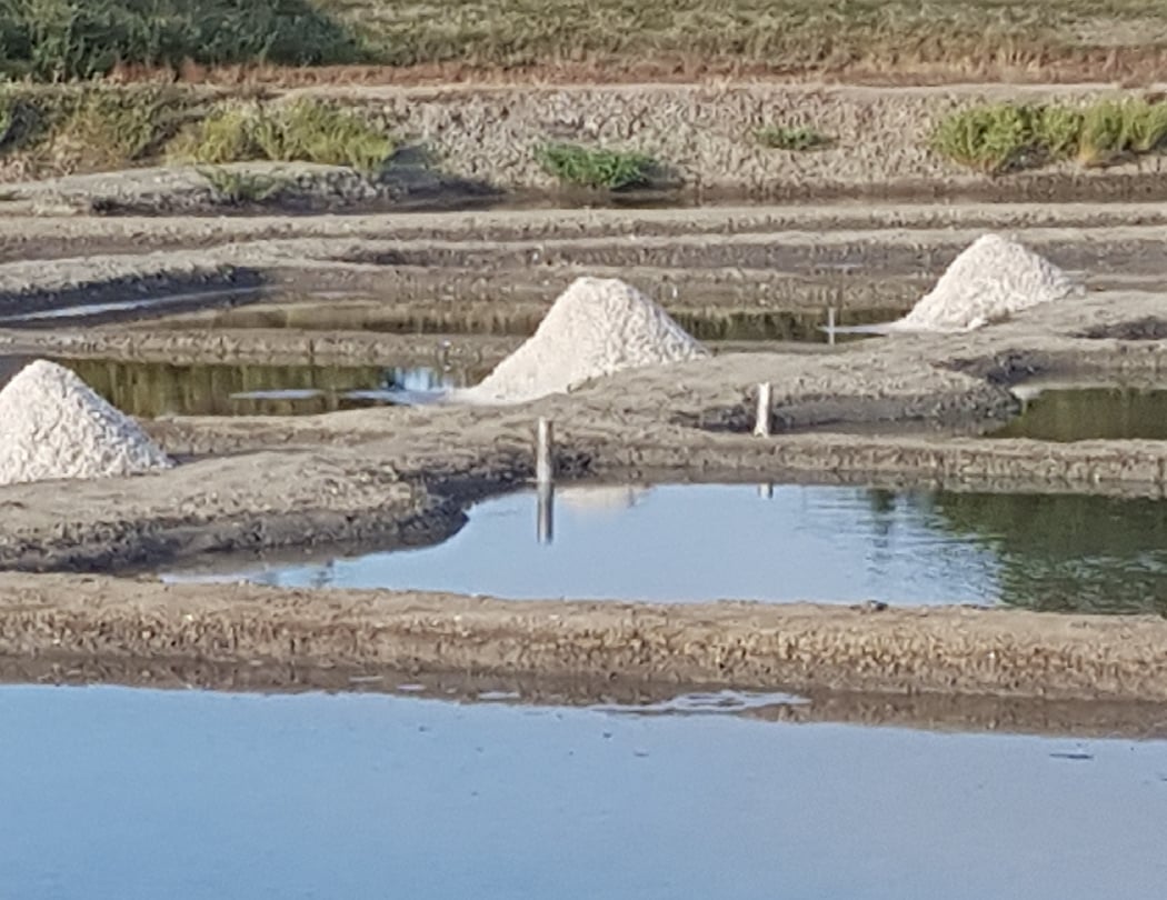 Salt marsh of Mornac sur Seudre 2