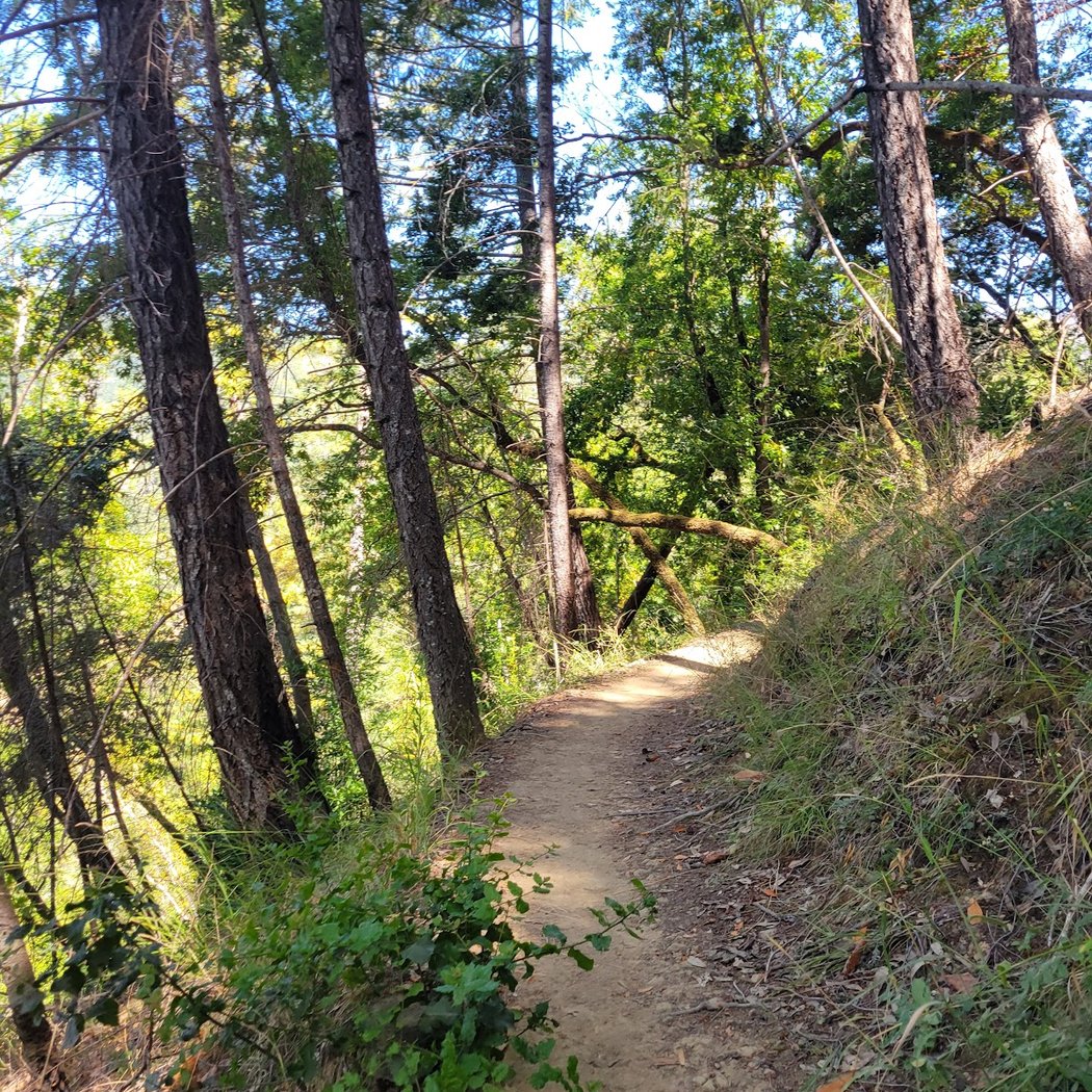 East Ridge Trail 1