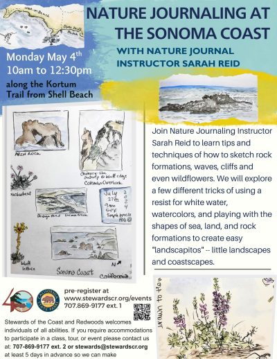 Nature Journaling 1