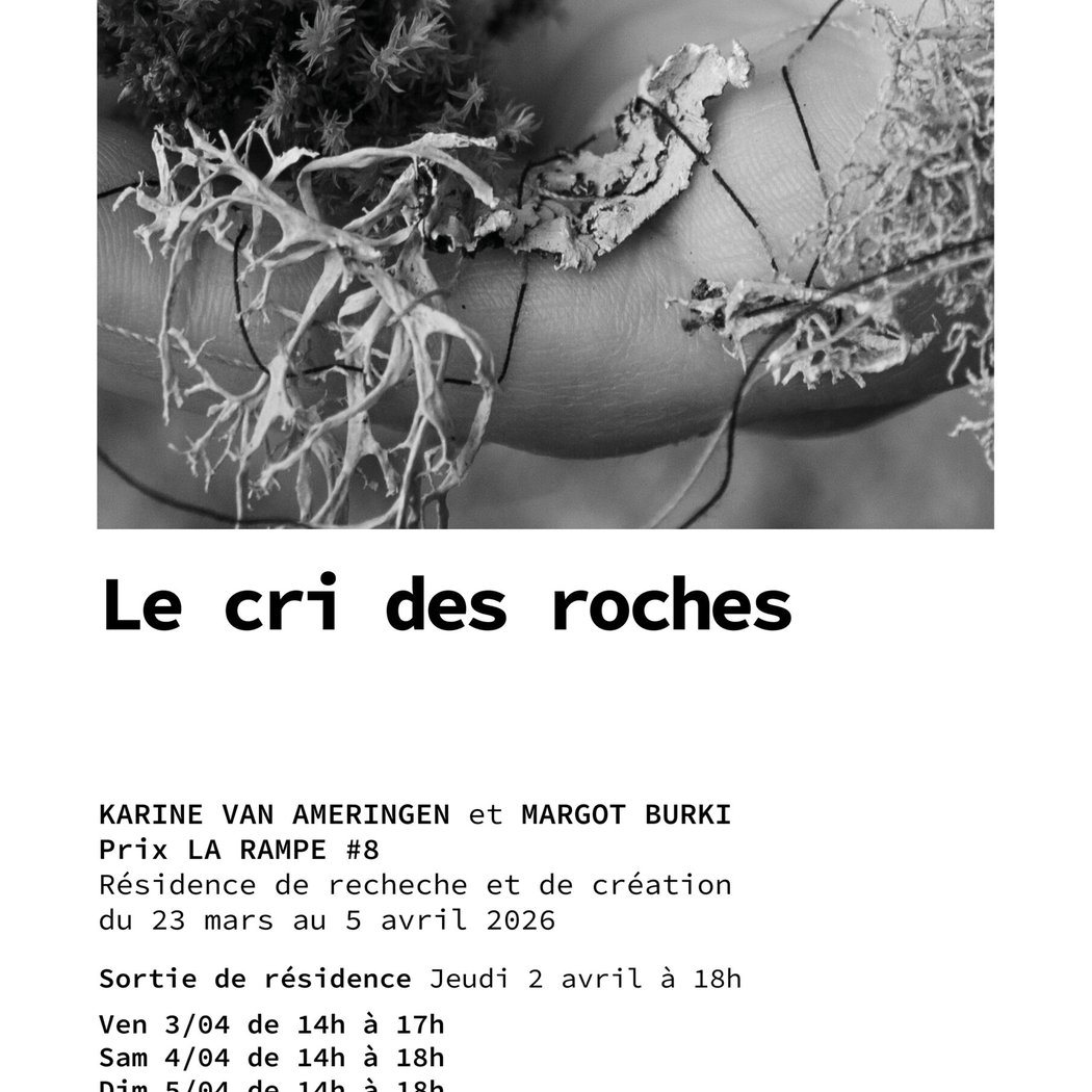 Sortie de résidence La Rampe #8 1