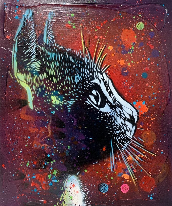 Street Art C215 3