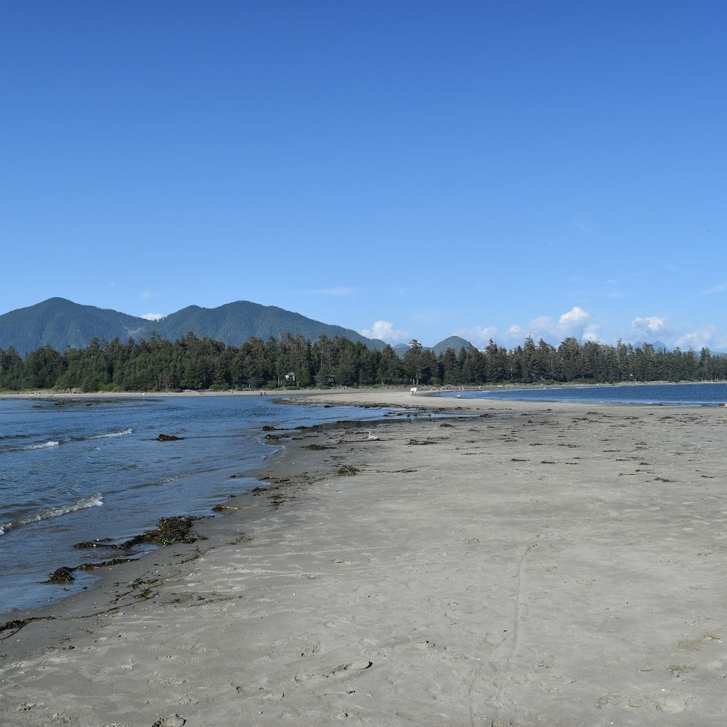Chesterman Beach 2