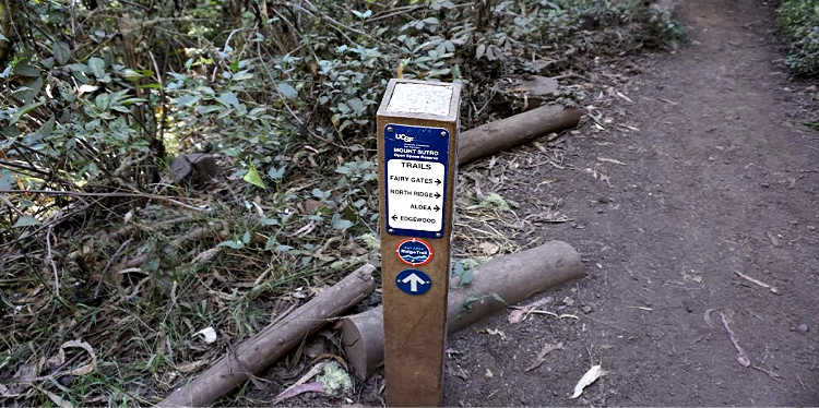 Mount Sutro Open Space Reserve 2