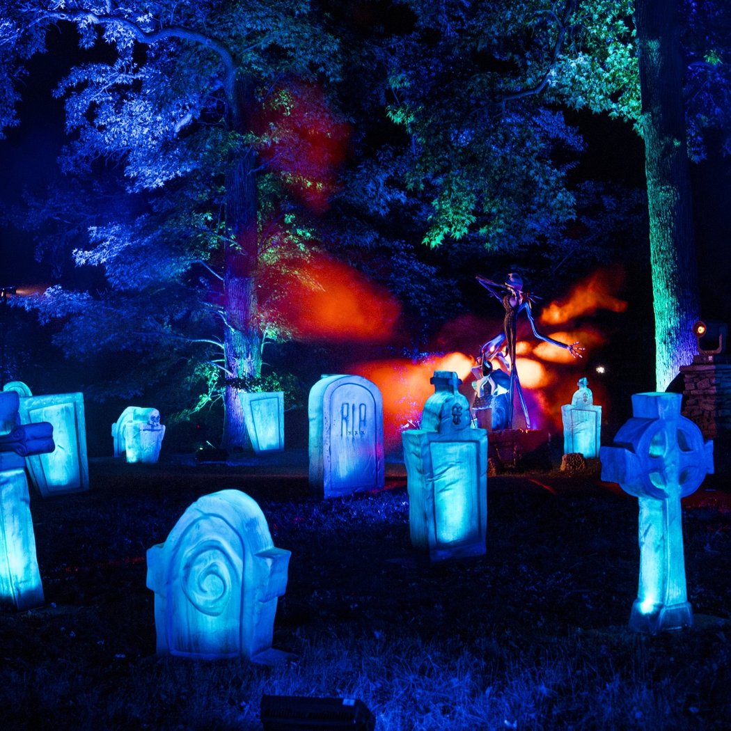 Disney Tim Burton's The Nightmare Before Christmas Light Trail 3